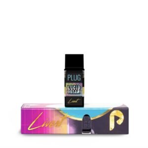 PLUG LIVEST: Lucid Dream